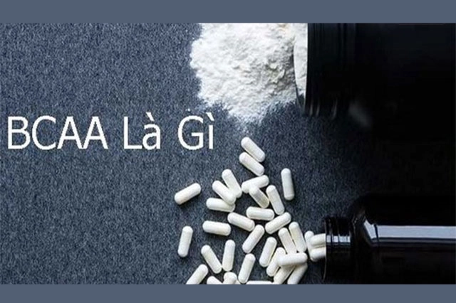 Tìm hiểu về BCAAs là gì và cách chúng hỗ trợ sức khỏe về thể chất và tinh thần. Tác dụng của BCAA đối với cơ bắp - Shopbiz