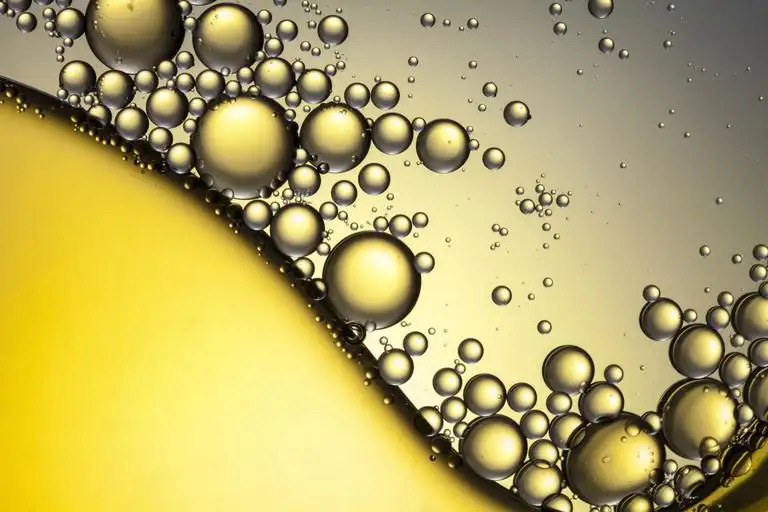 Sự tiêu hóa và hấp thu Lipid