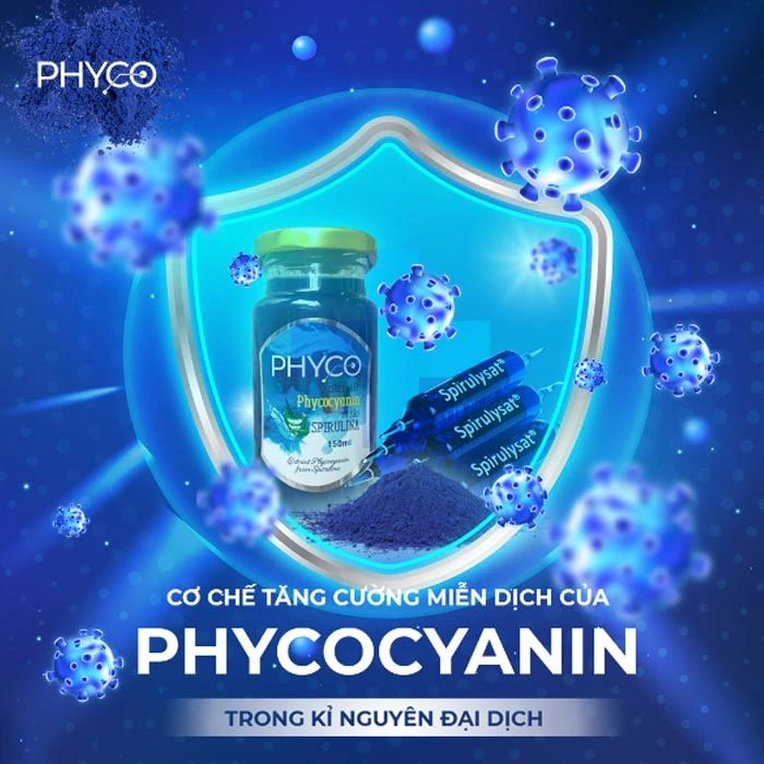 Cơ Chế Tăng Cường Miễn Dịch Của Phycocyanin Trong Kỉ Nguyên đại Dịch - Phycocyanin Spirulysat Cuivre - Shopbiz