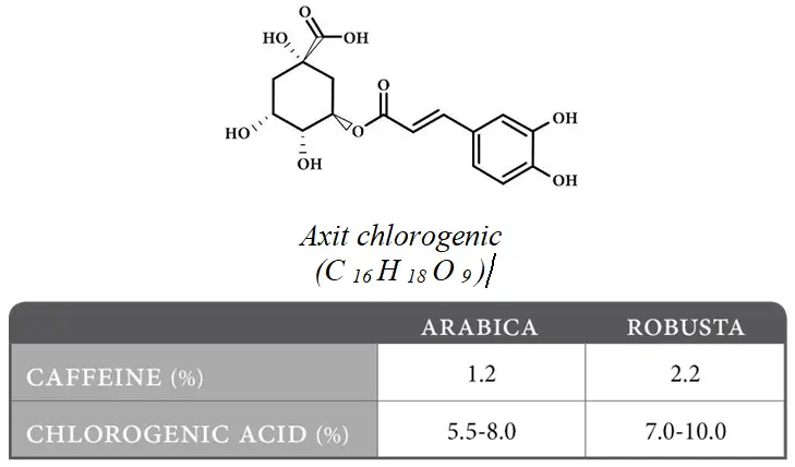 Hàm Lượng Caffeine Và Axit Chlorogenic Trong Arabica Và Robusta - Shopbiz