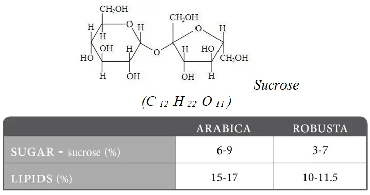 Hàm Lượng đường Và Lipid Trong Arabica Và Robusta - Shopbiz