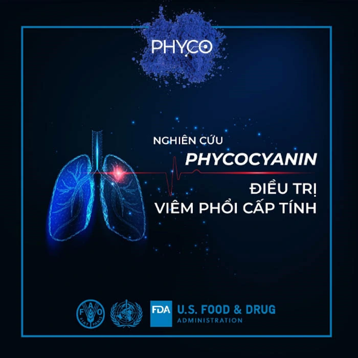 Nghiên Cứu Phycocyanin điều Trị Viêm Phổi Cấp Tính - Phycocyanin Spirulysat Cuivre - Shopbiz