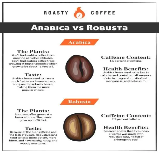 Phân Biệt Cà Phê Arabica Và Robusta - Shopbiz