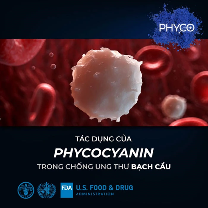 Tác Dụng Của Phycocyanin Trong Chống Ung Thư Bạch Cầu - Phycocyanin Spirulysat Cuivre - Shopbiz