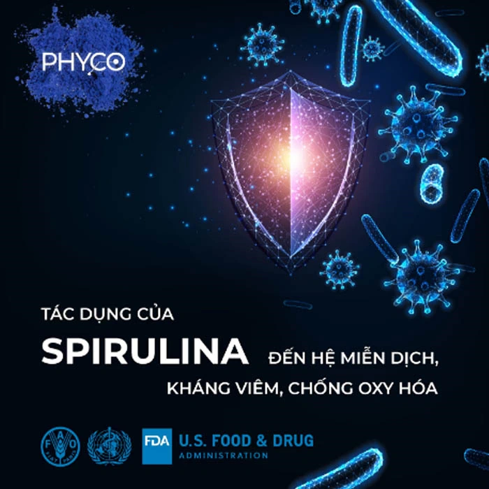 Tác Dụng Của Spirulina đến Hệ Miễn Dịch, Kháng Viêm, Chống Oxy Hoá - Phycocyanin Spirulysat Cuivre - Shopbiz