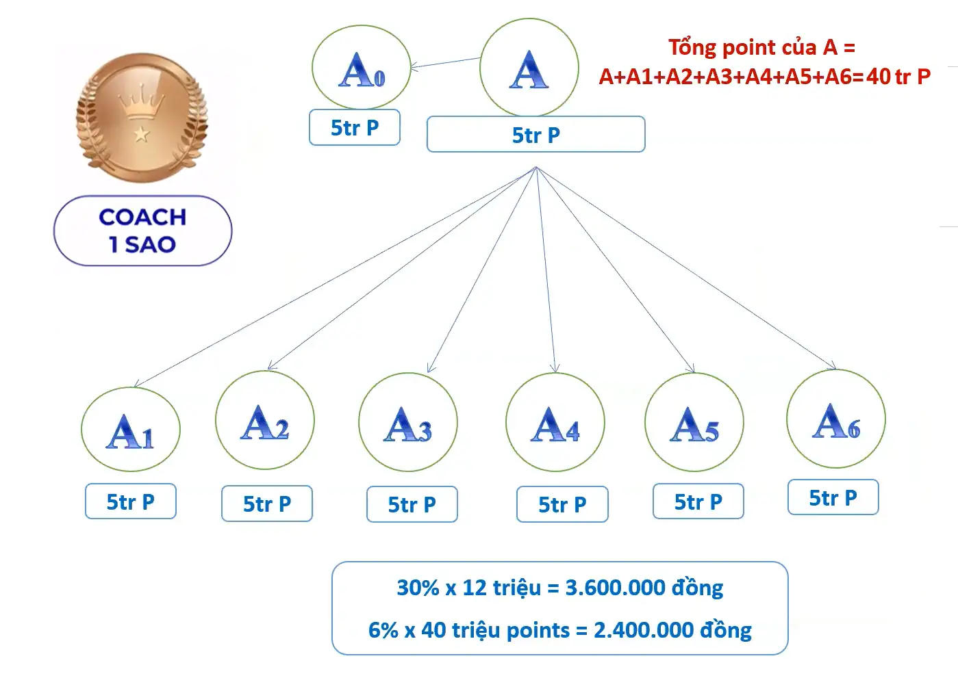 Ước Tính Thu Nhập Từ Thù Lao Nhóm Của C1s - Shopbiz