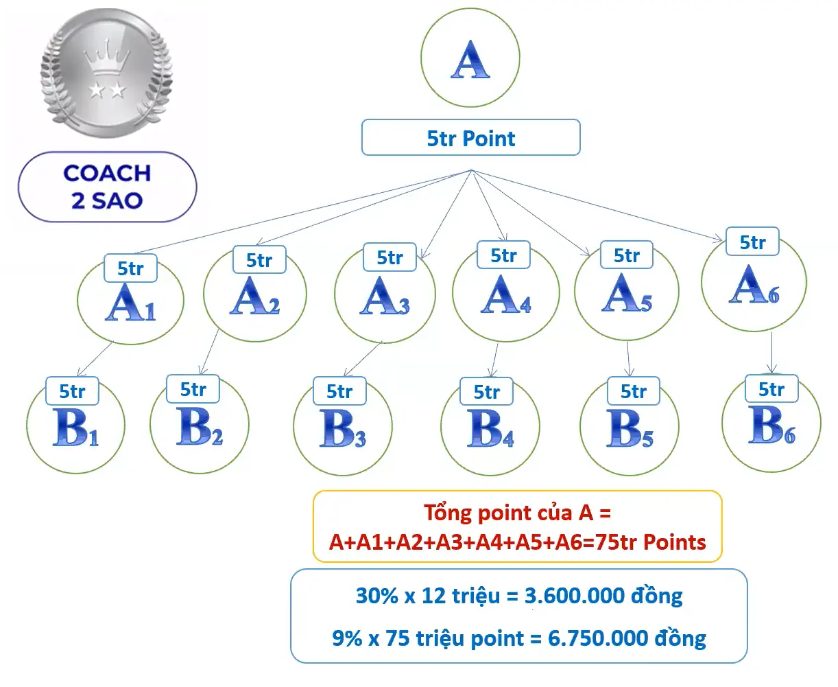 Ước Tính Thu Nhập Từ Thù Lao Nhóm Của C2s - Shopbiz