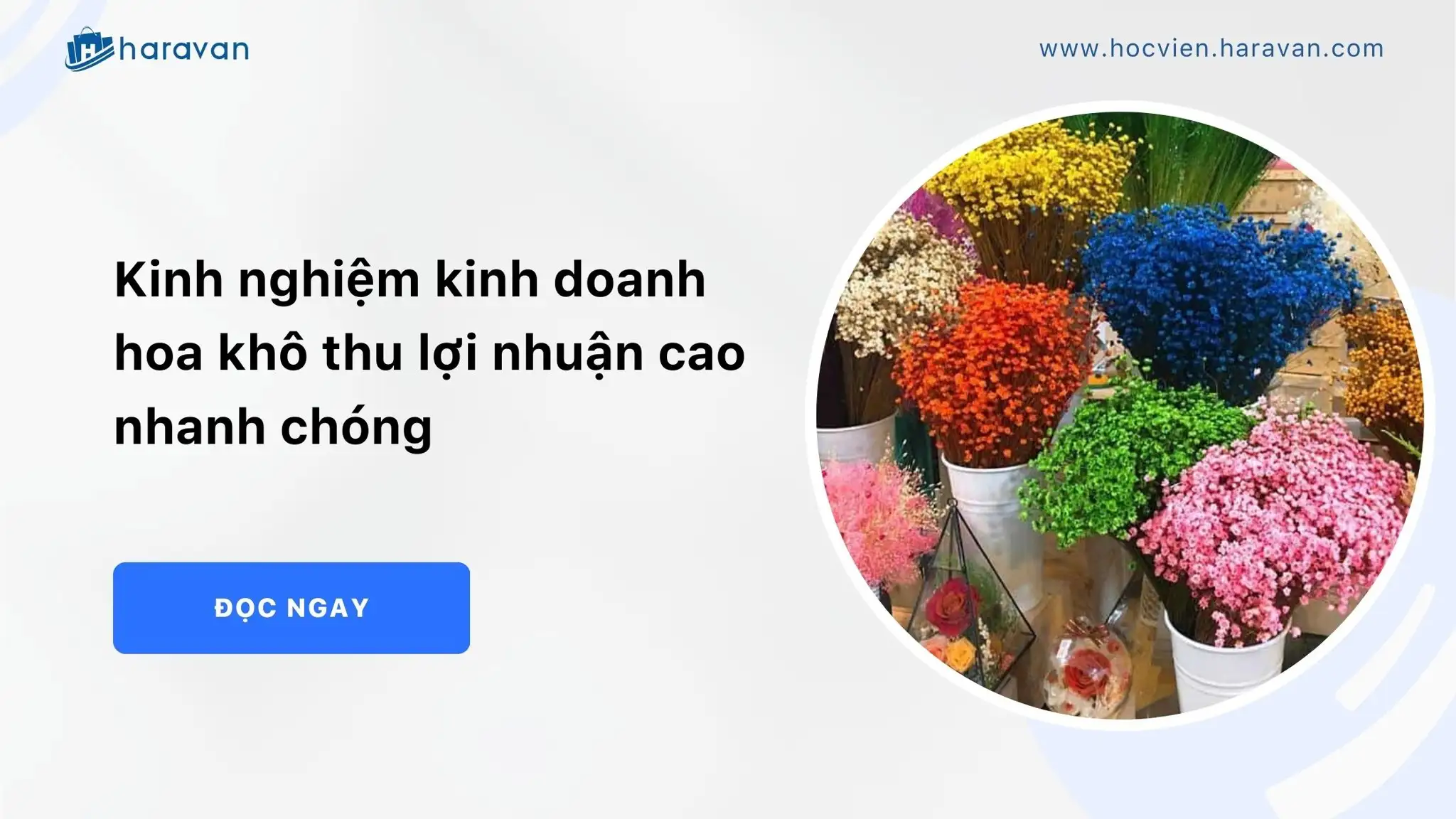 Kinh nghiệm kinh doanh hoa khô thu lợi nhuận cao nhanh chóng