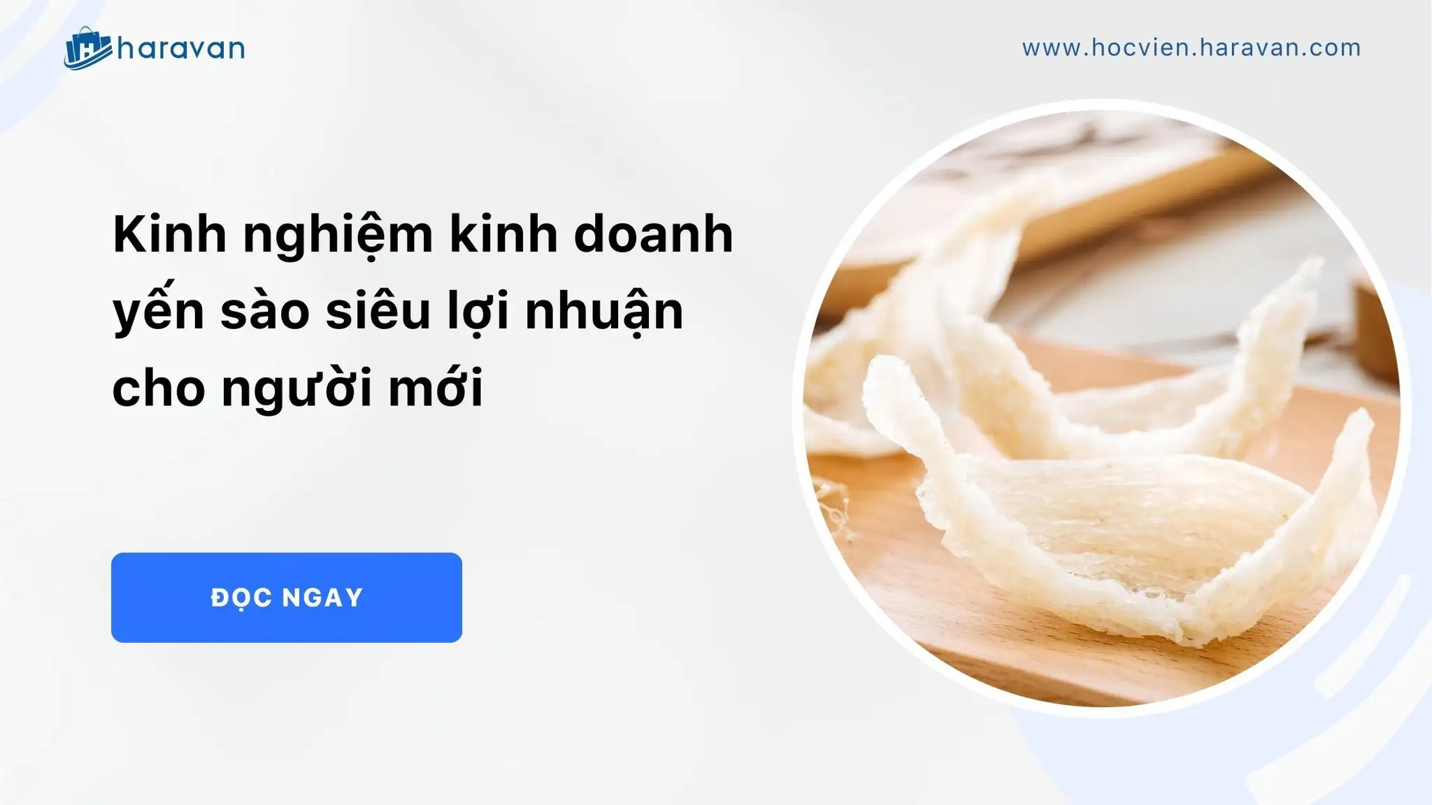 Kinh nghiệm kinh doanh yến sào siêu lợi nhuận cho người mới