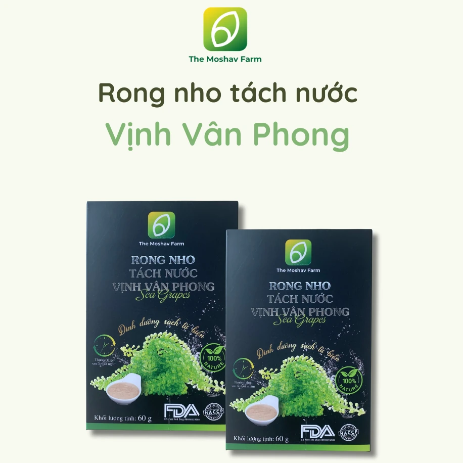 Rong Nho Tách Nước Vịnh Vân Phong - The Moshav Farm - Shopbiz