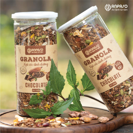 Granola siêu hạt Vị Socola 500gr