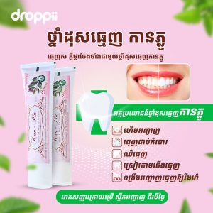 ថ្នាំដុសធ្មេញ កានភ្លូ-KAN PLU Toothpaste flyer