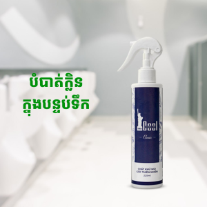 ស្ព្រាយបាញ់បំបាត់ក្លិន - Cool Deodorant Spray